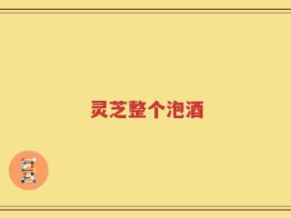 灵芝整个泡酒