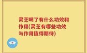 灵芝喝了有什么功效和作用(灵芝有哪些功效与作用值得期待)