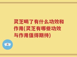灵芝喝了有什么功效和作用(灵芝有哪些功效与作用值得期待)