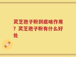 灵芝孢子粉到底啥作用？灵芝孢子粉有什么好处