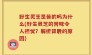野生灵芝是苦的吗为什么(野生灵芝的苦味令人担忧？解析背后的原因)