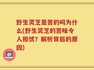 野生灵芝是苦的吗为什么(野生灵芝的苦味令人担忧？解析背后的原因)
