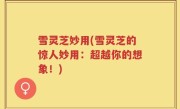 雪灵芝妙用(雪灵芝的惊人妙用：超越你的想象！)
