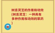 树舌灵芝的作用和功效(树舌灵芝：一种具有多种作用和功效的草药)