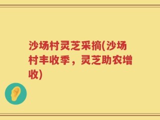 沙场村灵芝采摘(沙场村丰收季，灵芝助农增收)