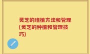 灵芝的培植方法和管理(灵芝的种植和管理技巧)