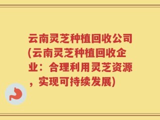 云南灵芝种植回收公司(云南灵芝种植回收企业：合理利用灵芝资源，实现可持续发展)