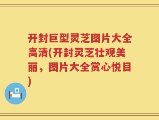 开封巨型灵芝图片大全高清(开封灵芝壮观美丽，图片大全赏心悦目)