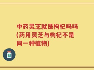 中药灵芝就是枸杞吗吗(药用灵芝与枸杞不是同一种植物)
