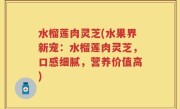 水榴莲肉灵芝(水果界新宠：水榴莲肉灵芝，口感细腻，营养价值高)