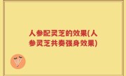 人参配灵芝的效果(人参灵芝共奏强身效果)