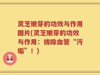 灵芝嫩芽的功效与作用图片(灵芝嫩芽的功效与作用：拔除血管“污垢”！)