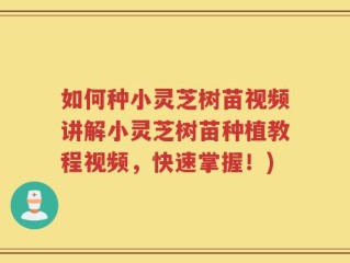 如何种小灵芝树苗视频讲解小灵芝树苗种植教程视频，快速掌握！)