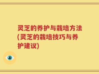 灵芝的养护与栽培方法(灵芝的栽培技巧与养护建议)