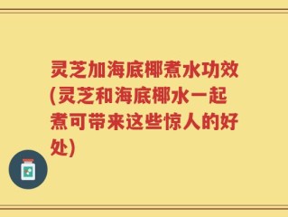 灵芝加海底椰煮水功效(灵芝和海底椰水一起煮可带来这些惊人的好处)