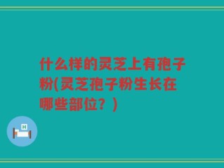 什么样的灵芝上有孢子粉(灵芝孢子粉生长在哪些部位？)