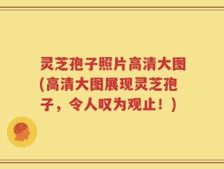 灵芝孢子照片高清大图(高清大图展现灵芝孢子，令人叹为观止！)