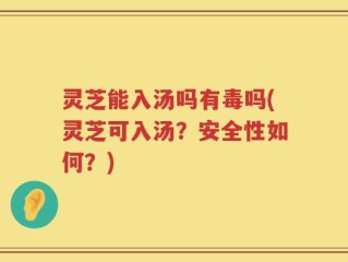 灵芝能入汤吗有毒吗(灵芝可入汤？安全性如何？)