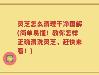 灵芝怎么清理干净图解(简单易懂！教你怎样正确清洗灵芝，赶快来看！)