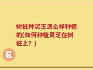 树桩种灵芝怎么样种植的(如何种植灵芝在树桩上？)
