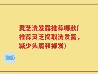 灵芝洗发露推荐哪款(推荐灵芝提取洗发露，减少头屑和掉发)