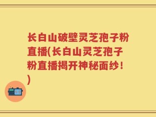长白山破壁灵芝孢子粉直播(长白山灵芝孢子粉直播揭开神秘面纱！)