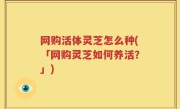 网购活体灵芝怎么种(「网购灵芝如何养活？」)