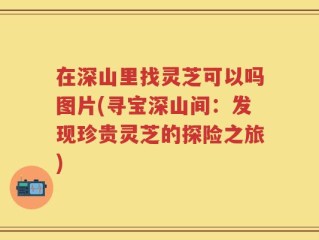 在深山里找灵芝可以吗图片(寻宝深山间：发现珍贵灵芝的探险之旅)