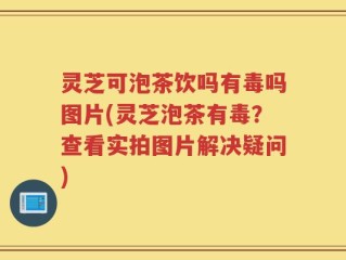 灵芝可泡茶饮吗有毒吗图片(灵芝泡茶有毒？查看实拍图片解决疑问)