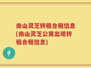 南山灵芝转租合租信息(南山灵芝公寓出现转租合租信息)
