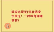 武安市灵芝(河北武安市灵芝：一种神奇健康食材)