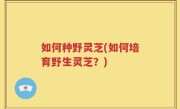 如何种野灵芝(如何培育野生灵芝？)