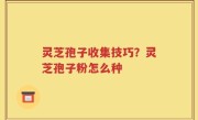 灵芝孢子收集技巧？灵芝孢子粉怎么种