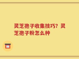 灵芝孢子收集技巧？灵芝孢子粉怎么种