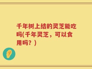 千年树上结的灵芝能吃吗(千年灵芝，可以食用吗？)