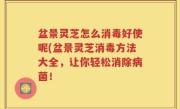 盆景灵芝怎么消毒好使呢(盆景灵芝消毒方法大全，让你轻松消除病菌！