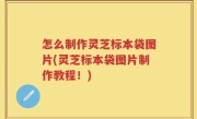 怎么制作灵芝标本袋图片(灵芝标本袋图片制作教程！)