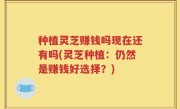 种植灵芝赚钱吗现在还有吗(灵芝种植：仍然是赚钱好选择？)