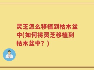 灵芝怎么移植到枯木盆中(如何将灵芝移植到枯木盆中？)