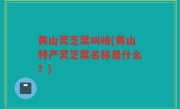 黄山灵芝菜叫啥(黄山特产灵芝菜名称是什么？)