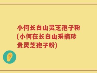 小何长白山灵芝孢子粉(小何在长白山采摘珍贵灵芝孢子粉)