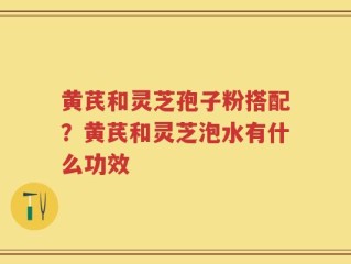 黄芪和灵芝孢子粉搭配？黄芪和灵芝泡水有什么功效