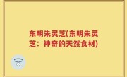 东明朱灵芝(东明朱灵芝：神奇的天然食材)