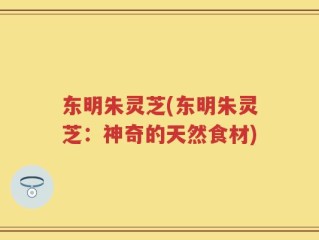 东明朱灵芝(东明朱灵芝：神奇的天然食材)