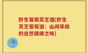 野生葡萄灵芝酒(野生灵芝葡萄酒：山间采摘的自然健康之味)