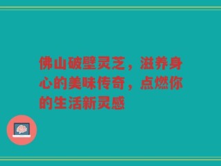 佛山破壁灵芝，滋养身心的美味传奇，点燃你的生活新灵感