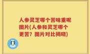 人参灵芝哪个苦味重呢图片(人参和灵芝哪个更苦？图片对比揭晓)
