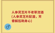 人参灵芝片不老草泡酒(人参灵芝片配酒，芳香解压助身心)