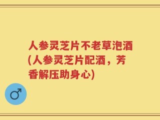 人参灵芝片不老草泡酒(人参灵芝片配酒，芳香解压助身心)