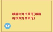 峨眉山野生灵芝(峨眉山珍贵野生灵芝)